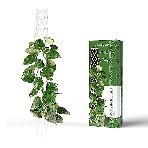 PlantMe Supporto per piante rampicanti, Monstera, asta muschiata, supporto per piante, supporto per piante da appartamento (40 cm, colore: bianco)