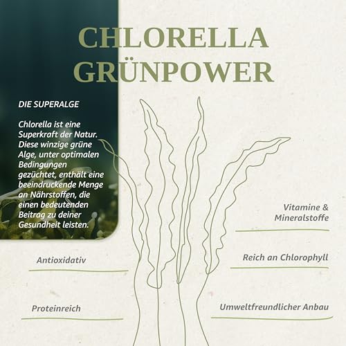 Bio Chlorella Maison Naturelle – Bio Chlorella Presslinge (500 Stück)