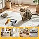 DAOUZL Elektrische Spielmaus für Katzen, Fernbedienung Maus Katzenspielzeug, Interaktives Katzenspielzeug mit LED-Licht Realistischen Geräuschen USB-Aufladung, Katzen (Grau)