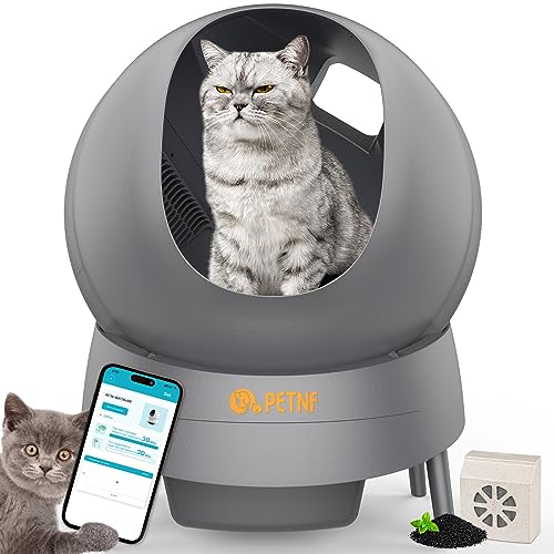 Self Cleaning Cat Box The 15 best products compared Wild Explained