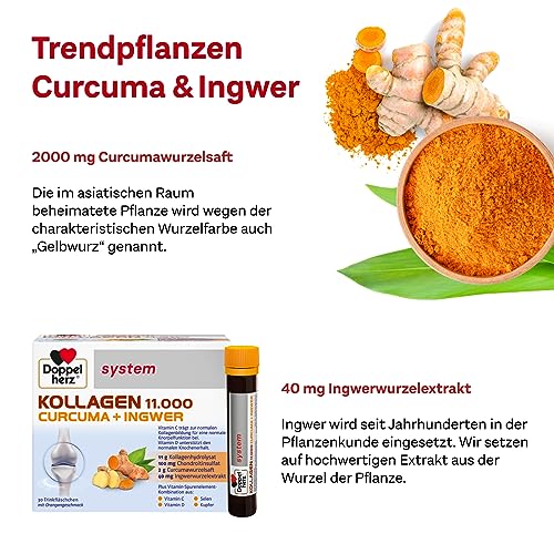 Doppelherz system KOLLAGEN 11.000 CURCUMA + INGWER – Vitamin C trägt zur normalen Kollagenbildung für eine normale Funktion von Knorpeln und Knochen bei – 2 x 30 Trinkfläschchen