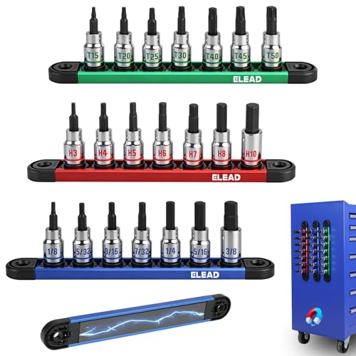 21-Piece Allen Bit Socket Set 3/8 Drive Hex & Torx Socket Set with Magnetic Sockets Organizer Rail S2 Steel Bit & Chrome Vanadium Steel Sockets for Professional Garages Workshop