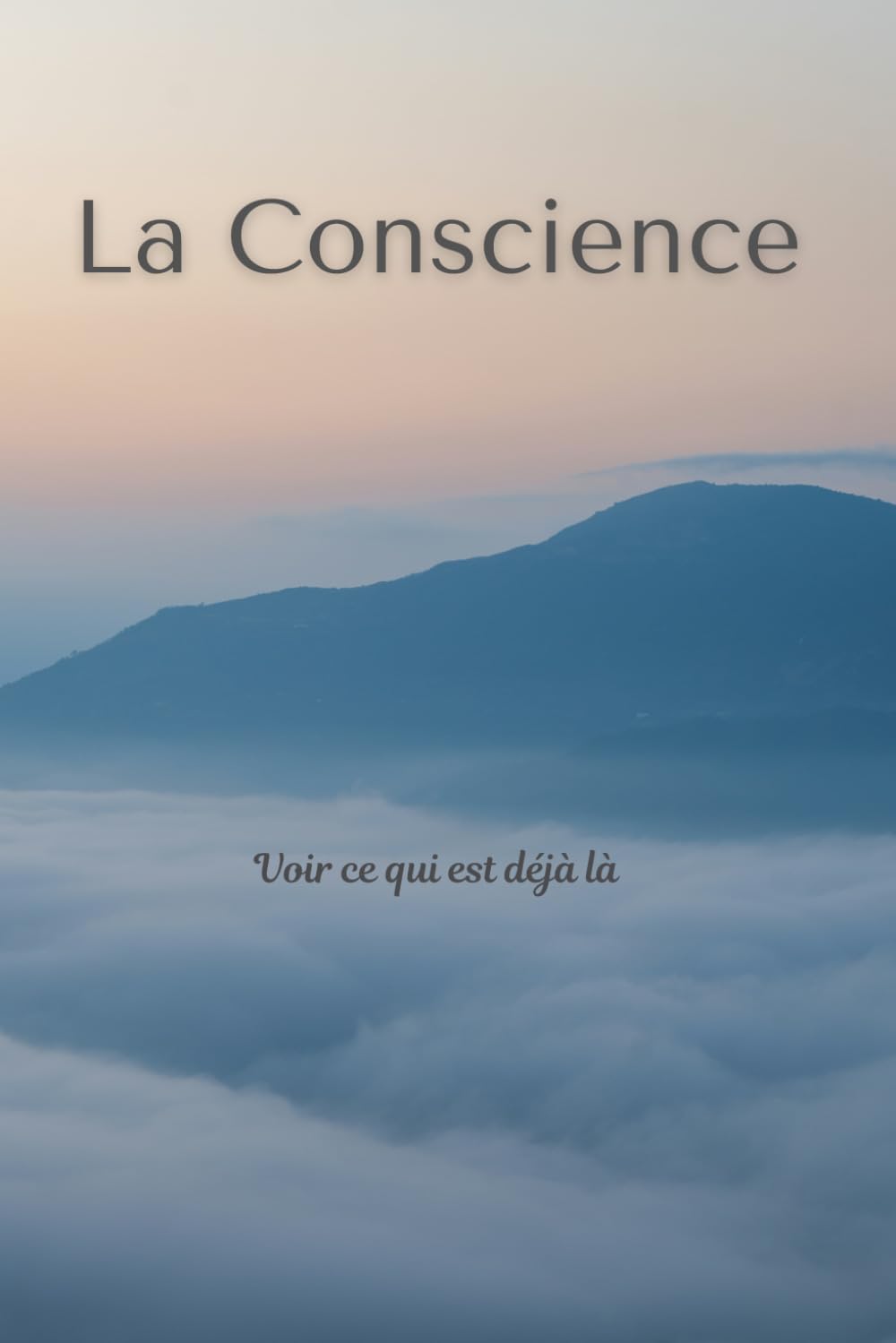 La Conscience: Voir ce qui est déjà là (Série Conscience)