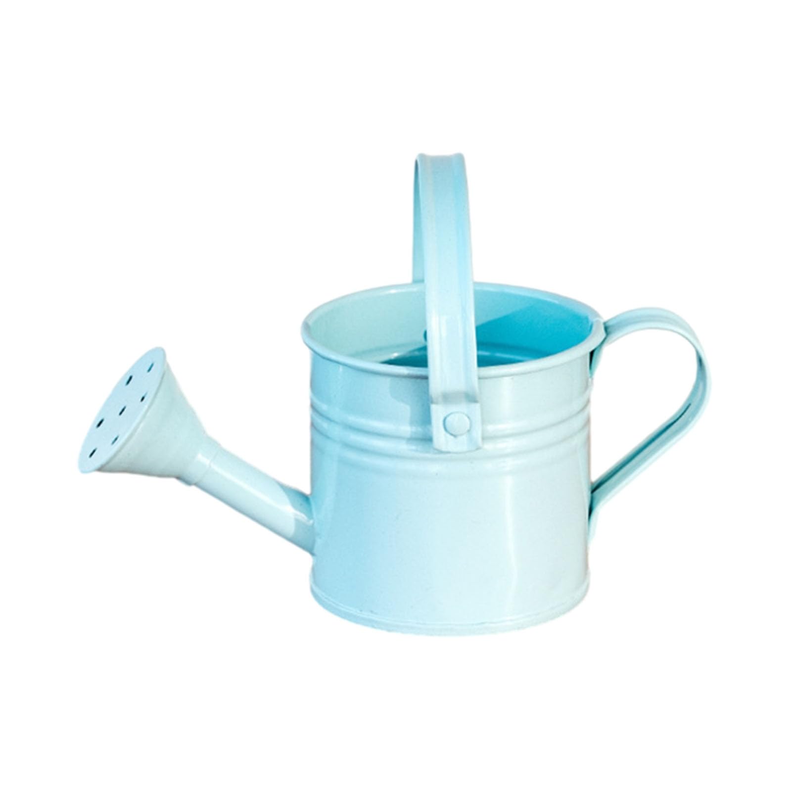 Rikuuui Metal Watering Can with Sprinkler Head Long Spout Watering Pot for Indoor Gardening Tool Small Size Iron Plant Care Equipment Home Balcony Terrace Potted Plants Light Blue