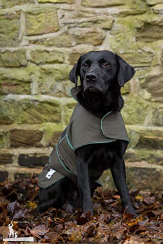Dog & Field - Cappotto impermeabile per cani, 2 in...