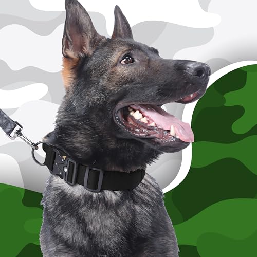 Retoo Taktisches Hundehalsband Für Große Hunde 45–65 cm, Verstellbar, 45 mm Breit, Mit Metallschnalle & Zuggriff, Reißfestes Gurtband, XL Quick Release