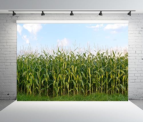 Fondo fotográfico de tela BELECO 7x5FT estilo horizontal miniatura 4