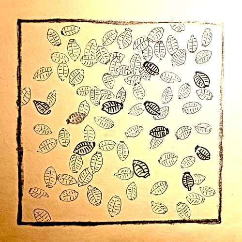  Mirabilis