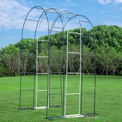 Youlines ッガーデンアーチ バラ 用 アーチ 錆びない ローズアーチ 丸型 薔薇アーチ 屋外 フラワーアーチ 組み立てかんたん ベース付アーチ 庭 ガーデニング (グリーン)