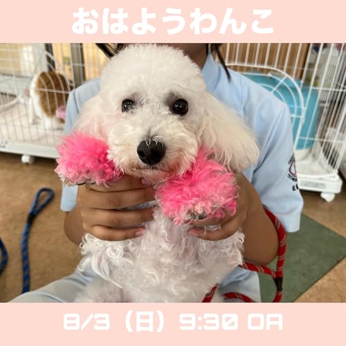 『2025.8.3』のカバーアート
