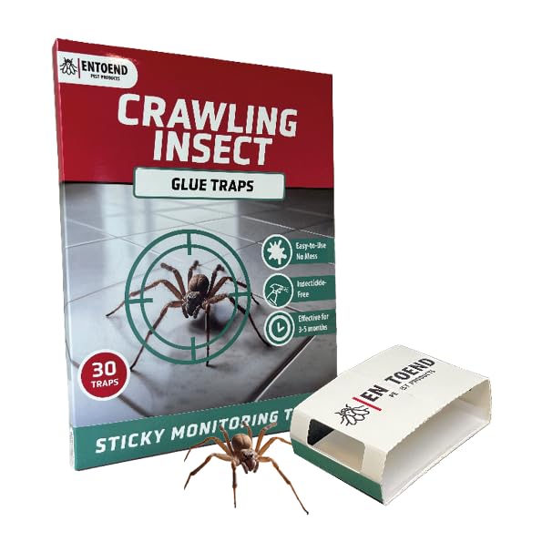 ENTOEND Crawling Insect Glue Traps | Pack of 30 | Sticky Indoor Spider Catcher | Easy to Use Adhesive Paper Trap to Catch Spiders Bedbugs Carpet Beetles Silverfish Cockroaches and Other Insects