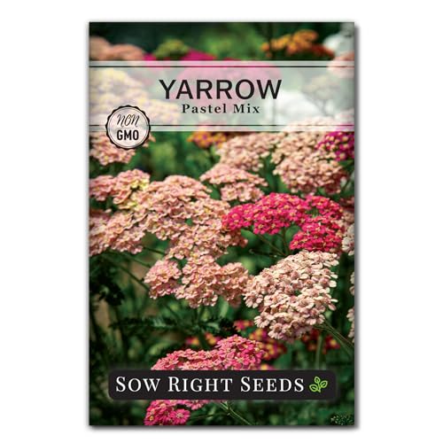 Sow Right Seeds - Pastel Mix Yarrow Seeds for Planting - Vibrant Yarrow Flowers for Attracting Pollinators - Perfect for Floral Gardens & Landscaping - Easy to Grow - Non-GMO Heirloom Herb (1)