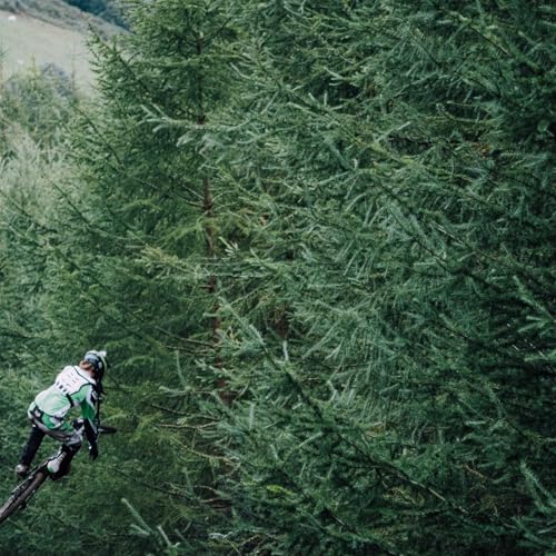 『Rhea Daily Listen』のカバーアート