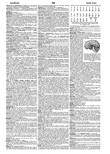 Webster's Third New International Dictionary, Unabridged - Image 4