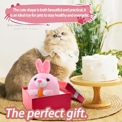 Aktiv bewegliches Plüschspielzeug für Haustiere, Interaktives quietschendes Hundespielzeug, Tragbarer Haustier Ball Toy, Bewegendes Hundespielzeug Ball, für Trainieren kleine Mittelgroße Hündchen