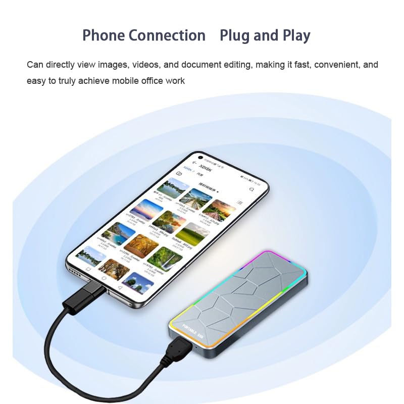 Dohaeris 256G Mobile Solid-State Drive Portable High-Speed SSD Mobile Solid-State USB Drive Dual-Purpose Mobile Phone Computer External Large Capacity Solid State Drive