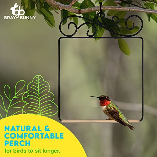 Premium Hummingbird Swing, Rust Resistant Metal Frame, Wooden Dowel, Humming Bird Perch Feeder Accessory, Birdswing For Outside Outdoors #TOP5