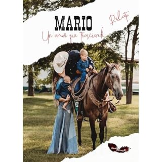 MARIO Un Amor que Trasciende Audiolibro Por Claudia Perez R. arte de portada