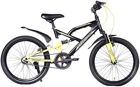 Hero Flake 20T Single Speed Cycle
