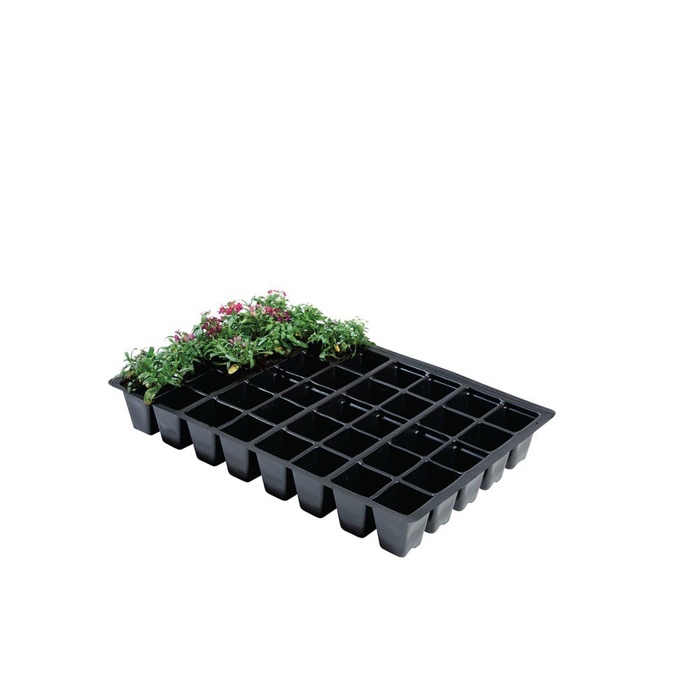 Seed Tray Inserts 40 Cell Insert Trays Pack of 5 Gardening Growing Gardening
