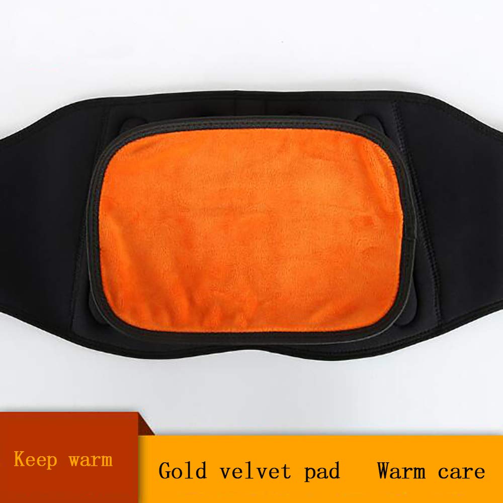 Faja Lumbar Fitness - Cinturón de Soporte para la Espalda Ajustable - para Gimnasio, Postura, Levantamiento, Trabajo, Alivio del Dolor - para Hernia de Disco,L