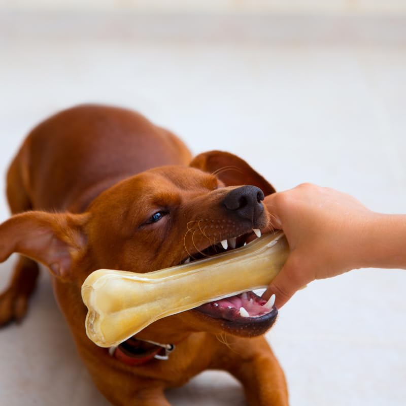 PARAS Rawhide Bone 3 Inch Pack - 1000 Grams: Extended Chewing Sessions, Long-Lasting Pleasure with Rawhide Chicken Flavor, Ideal Calcium Bones for Dogs Food (B0D3HQ2Y5P) Amazon Price History, Amazon Price Tracker