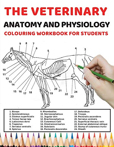 The veterinary anatomy and physiology colouring work book for students: The anatomy and physiology c livre En ligne