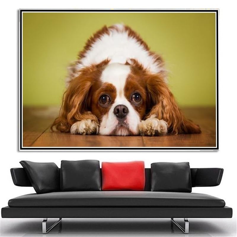 Amazon | キャバリア・キング・チャールズ・スパニエルのかわいい