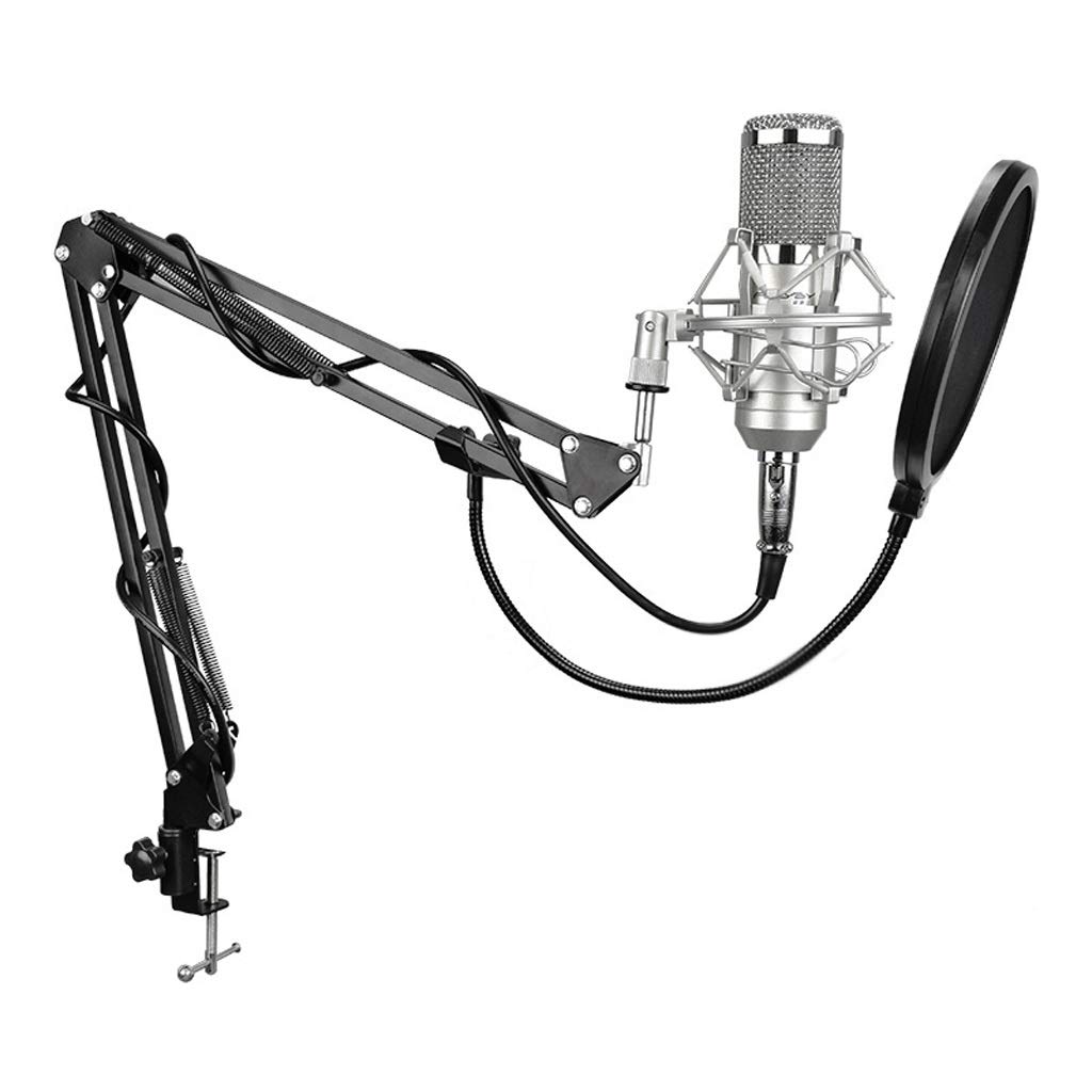 Microphone à condensateur professionnel 3.5 XLR argent haute clarté