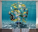 ABAKUHAUS Pescado Cortinas, Multicolor