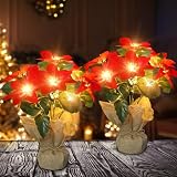 Kenburg 2 Pack Christmas Poinsettia Flowers Artificial, Silk Fake Poinsettias Plants with LED Lights, Realistic Poinsettias Artificial Christmas Flowers Decorations for Indoor,Table, Wedding, Gifts
