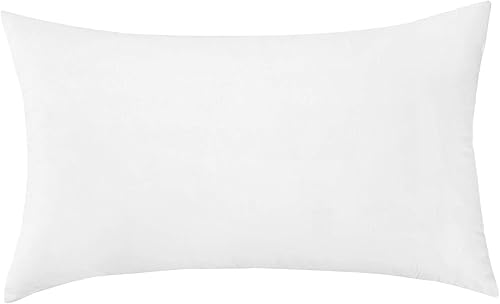 CRAFTSWORTH Inserto de almohada de 20 x 20 pulgadas juego de 1 inserto para fundas de almohada relleno de cojín almohada de cama y sofá almohadas