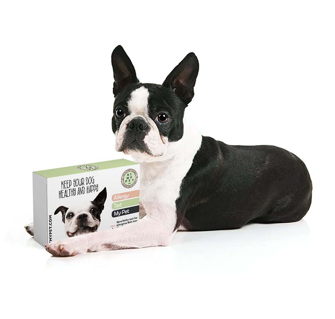 How Much Does An Allergy Test For Dogs Cost