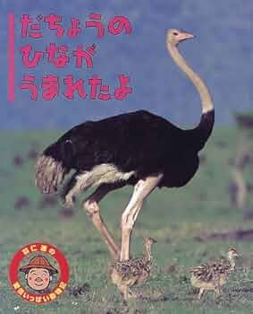 ダチョウ物語―飛べない巨鳥たちの伝説と未来 ダチョウ物語—飛べない巨鳥たちの伝説と未来 ダチョウ物語―飛べ