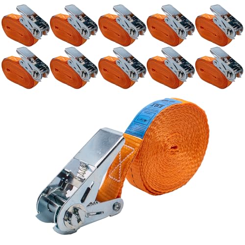 EQT 10 Stück 800kg 6m Spanngurte mit Ratsche einteilig Zurrgurte DIN EN 12195-2 TÜV GS