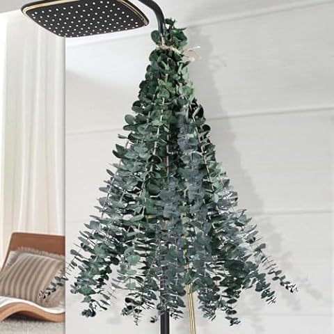 Koceko 12 Pcs Dried Eucalyptus Stems Cover