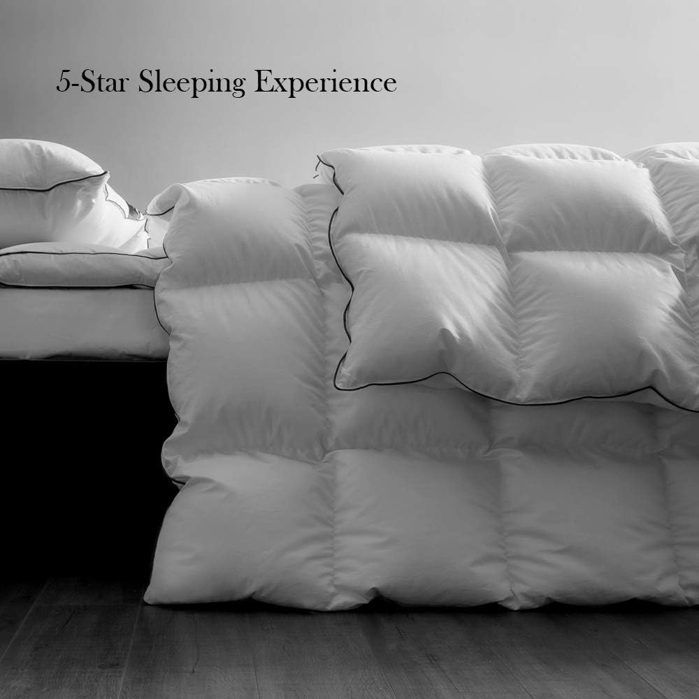 KRT Luxurious Goose Down Comforter Thickened Heavyweight Warmth Quilted Duvet Insert 100% Organic Cotton Cover with Corner Tabs (White, Twin Winter) : Everything Else