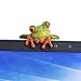 Secaden Resin Creative 3D Craft Frog Decoration Office Desk Computer Decoration Gift (Front Style)