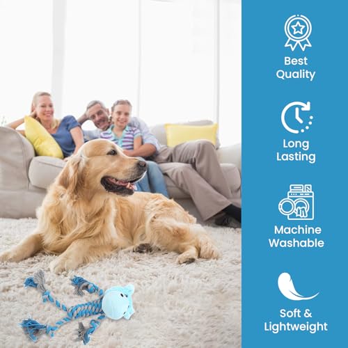 MYPETSTOCK® Plüschtier für Hunde, interaktives Spielzeug mit Seil und Squeak
