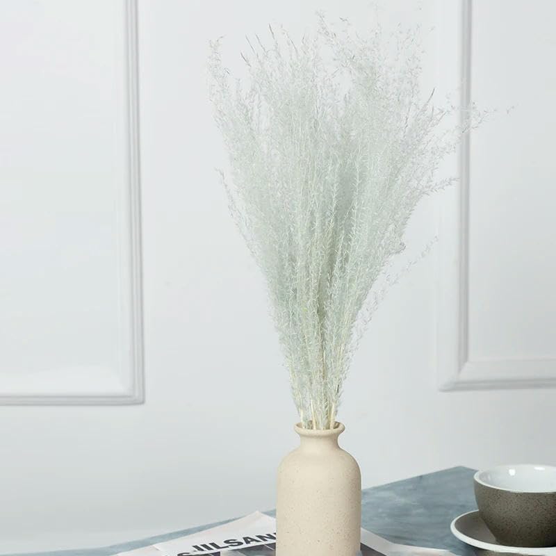 Véritable petite herbe séchée bouquet de mariage plantes naturelles décoration d'intérieur fleurs artificielles séchées Phragmites fleur ornementale