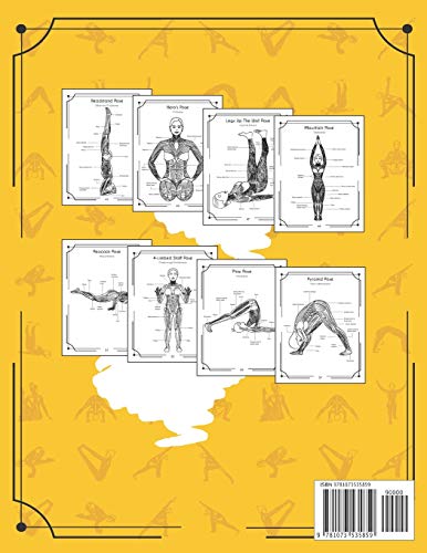 Yoga Anatomy Coloring Book: A New View At Yoga Poses