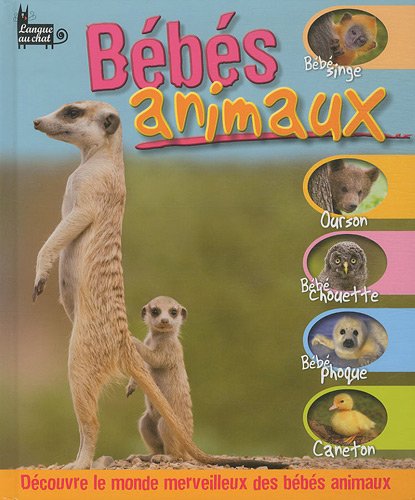 Bébés animaux