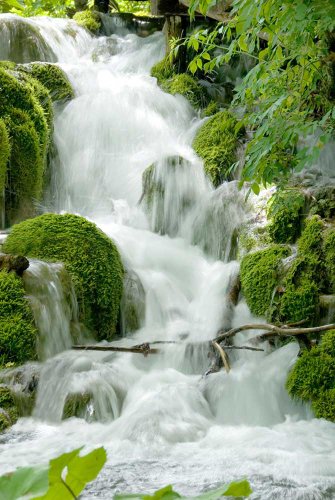 Empire 169785 Feng Shui Cascade Poster