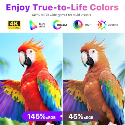 Portable 4K OLED monitor Kit product image