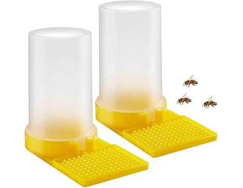 The Ultimate Bee Water Guide: Keeping Your Apiary Hydrated