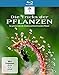 Produktbild Die Tricks der Pflanzen [Blu-ray]