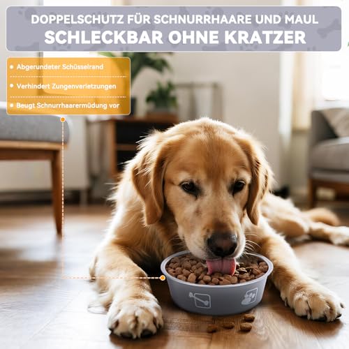 Mossly Fressnapf Hund 2 Stück, Edelstahl Hundenapf (17.5cm),Silikon Boden, Rutschschutz, wasserschüssel Hund 800Ml