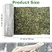 kathson Reptile Carpet, Natural Moss Mat for Terrarium, Bearded Dragon Tank Flooring Green Substrate Liner for Leopard Gecko Hermit Crab Lizard Tortoise (47.24