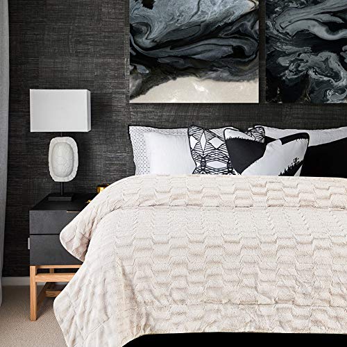 Chanasya Fuzzy Faux Fur Elegant Rectangular Embossed Throw Blanket - Plush Sherpa Microfiber