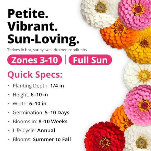Image of HOME GROWN Thumbelina Zinnia Seeds (1g) - 500 Dwarf Zinnia for Planting 2026, Spring Flower Seeds to Plant Outside, Easy Summer Garden Bloom for Containers & Borders (Zinnia elegans)